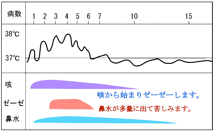 気管支炎の経過の画